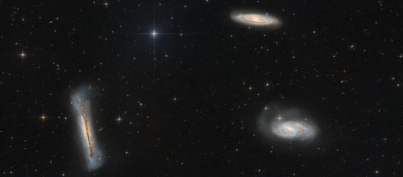 Leo Triplett