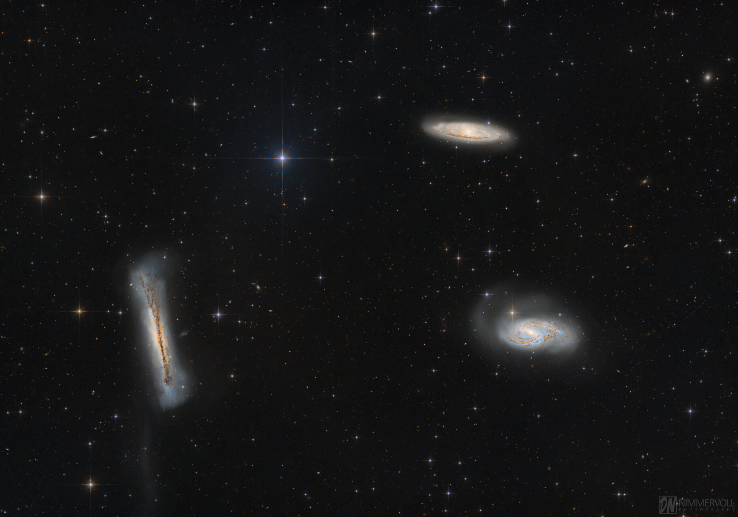 Leo Triplett