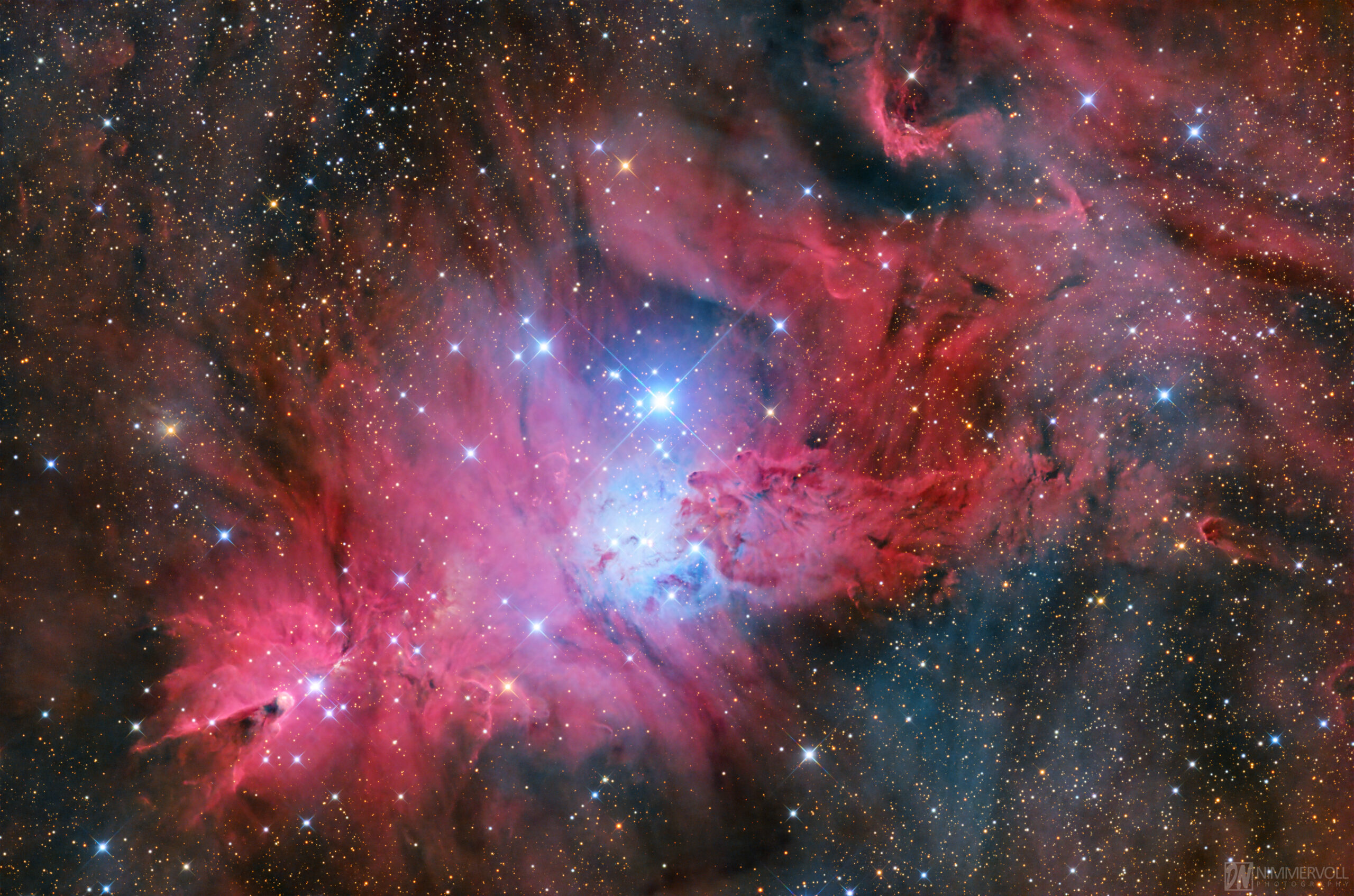 NGC 2264 - Weihnachtsbaum Cluster