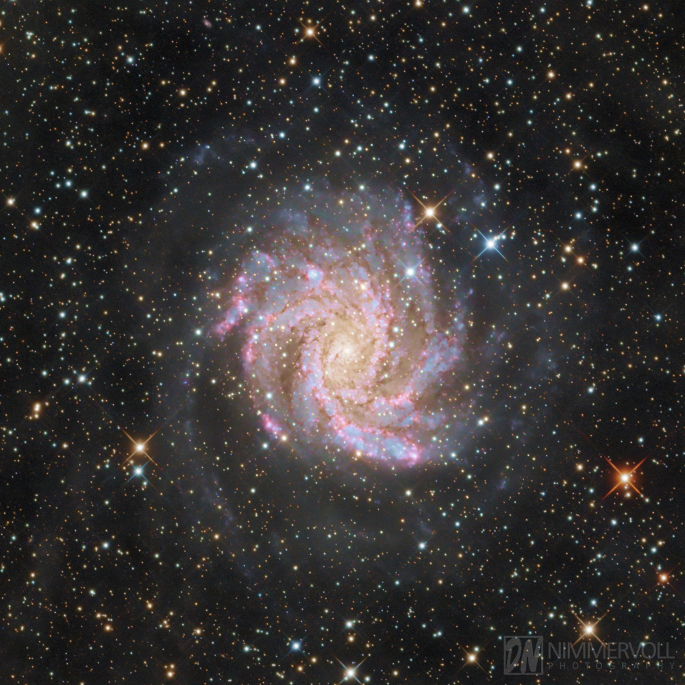ngc 6946 - Feuerwerksgalaxie