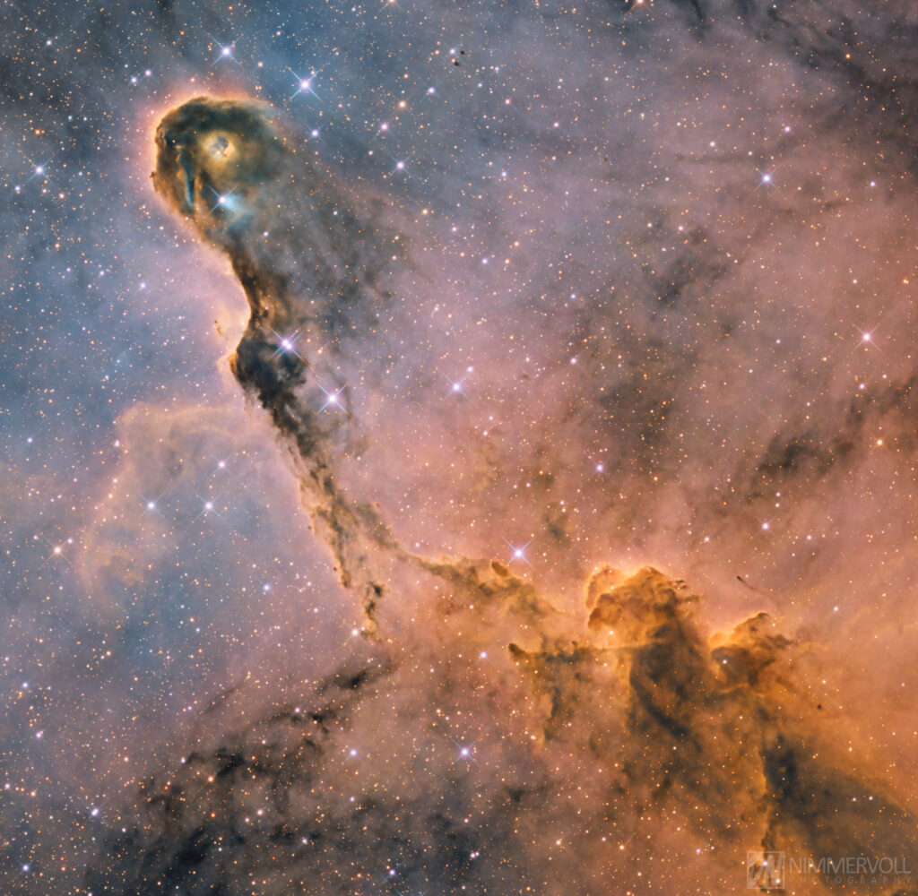 IC 1396 - Elefantenrüsselnebel