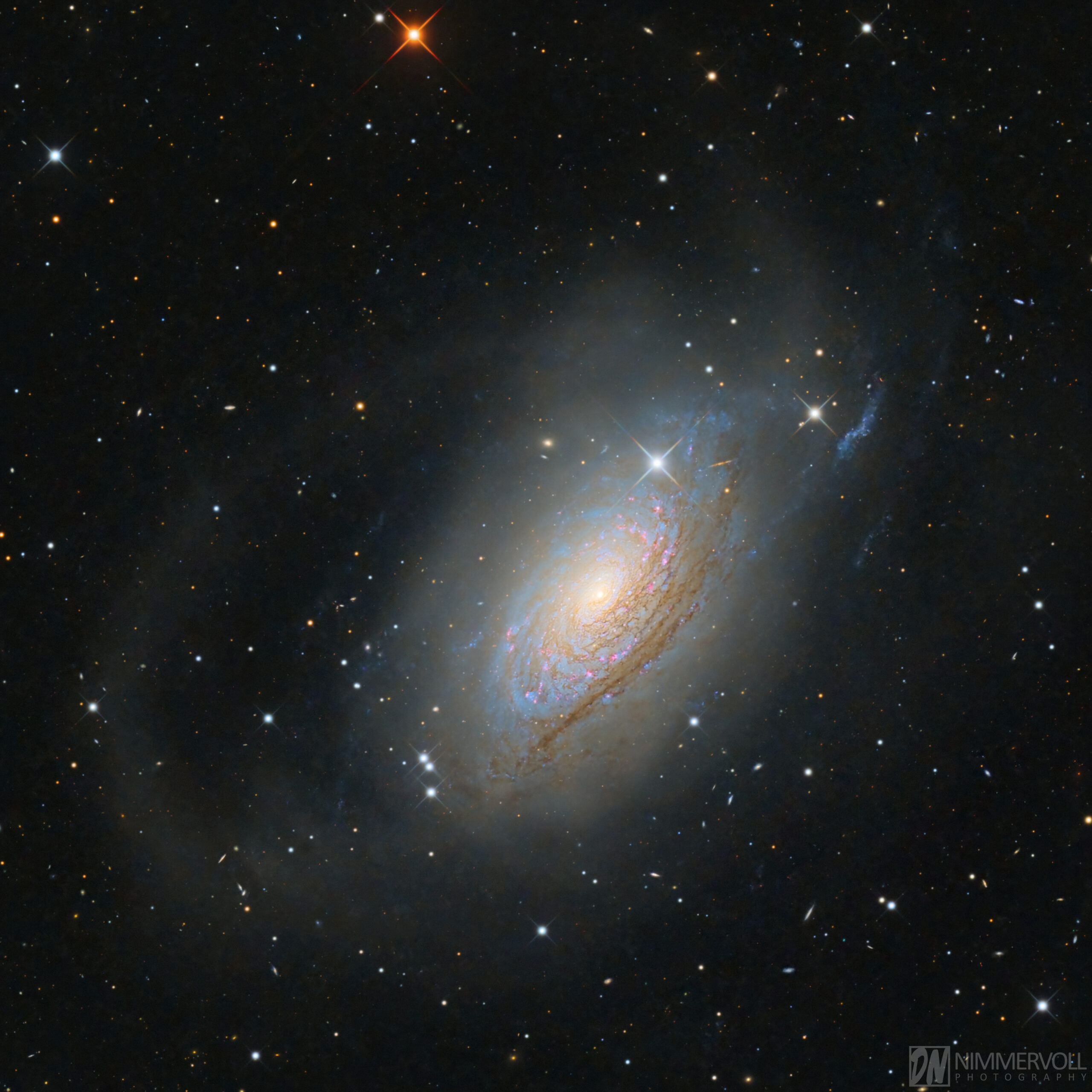 Messier 63 - Sonnenblumen Galaxie