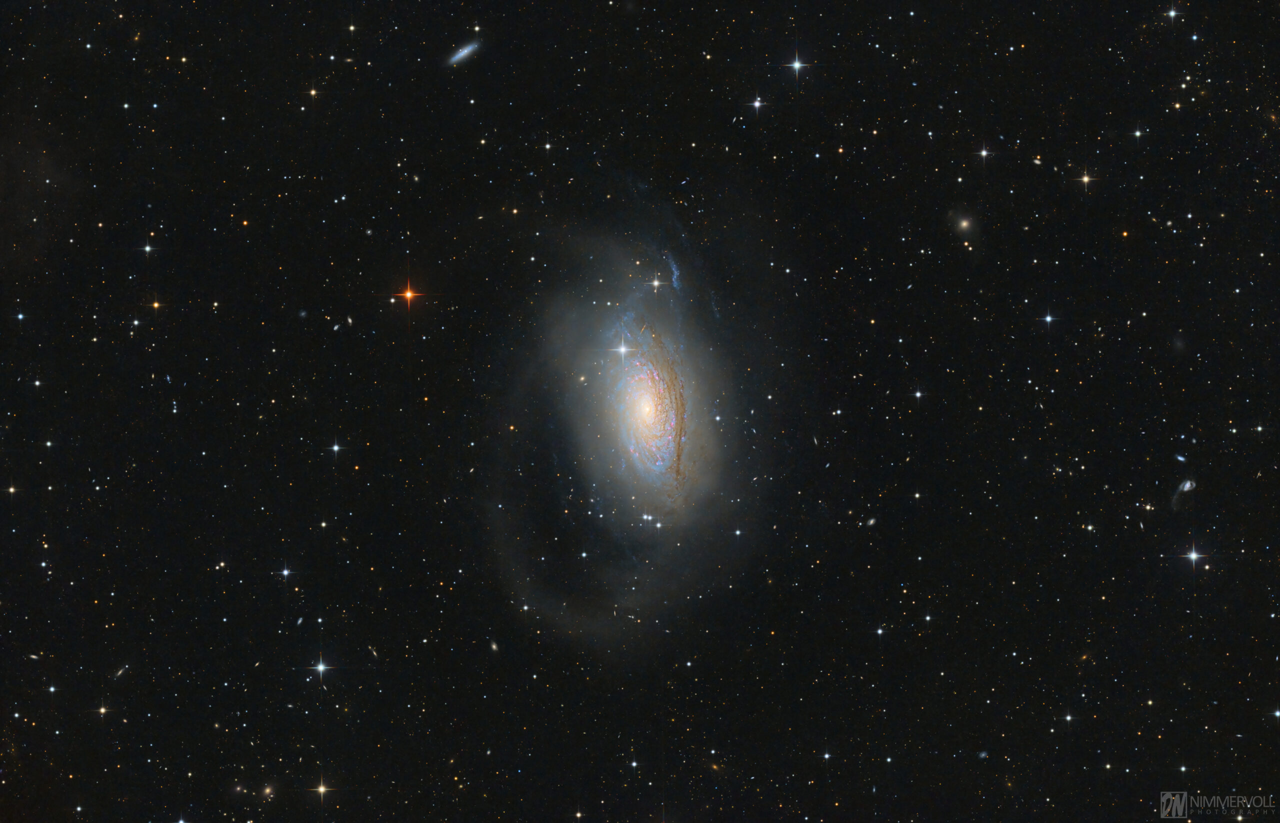 Messier 63 komplettes Bildfeld