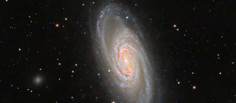 NGC 2903 im Detail